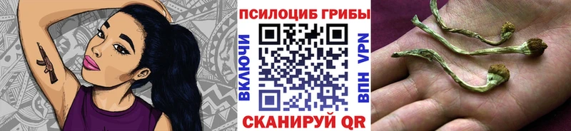 хочу   Ковылкино  Галлюциногенные грибы GOLDEN TEACHER 